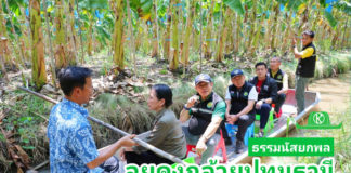 ก.เกษตรฯ ส่งเสริมแปลงใหญ่กล้วยหอมทองปทุมธานี มุ่งขับเคลื่อนด้วย BCG Model พร้อมยกระดับสู่การเป็นสินค้าเกษตรมูลค่าสูง