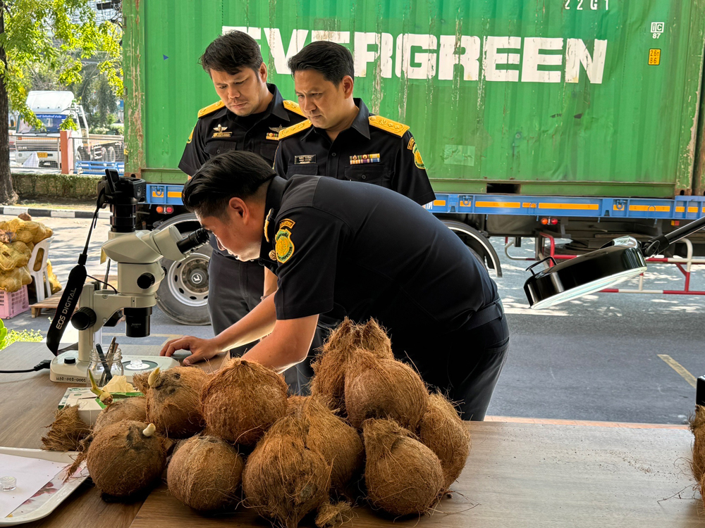 ธรรมนัส สั่ง! คุมเข้มนำเข้ามะพร้าว เตรียมลุยตะวันออก เจอทุเรียนอ่อนยึดใบ GMP/GAP ทันที