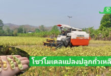 กรมวิชาการเกษตร มัดรวมเทคโนโลยี สร้างแปลงโมเดลต้นแบบผลิตถั่วเหลือง คาร์บอนต่ำมุ่งยกระดับผลผลิตถั่วเหลืองไม่น้อยกว่า 410 กิโลกรัม/ไร่