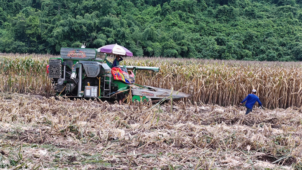 พร้อมดันธุรกิจบริการเครื่องจักรกลเกษตร เสริม GDP สาขาบริการทางการเกษตรไทย