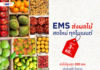 ไปรษณีย์ไทยเปิดมาตรการช่วยผู้ปลูกผลไม้ เข้ารับผลผลิตฟรีถึงหน้าสวน พร้อมหนุนส่งด่วน EMS
