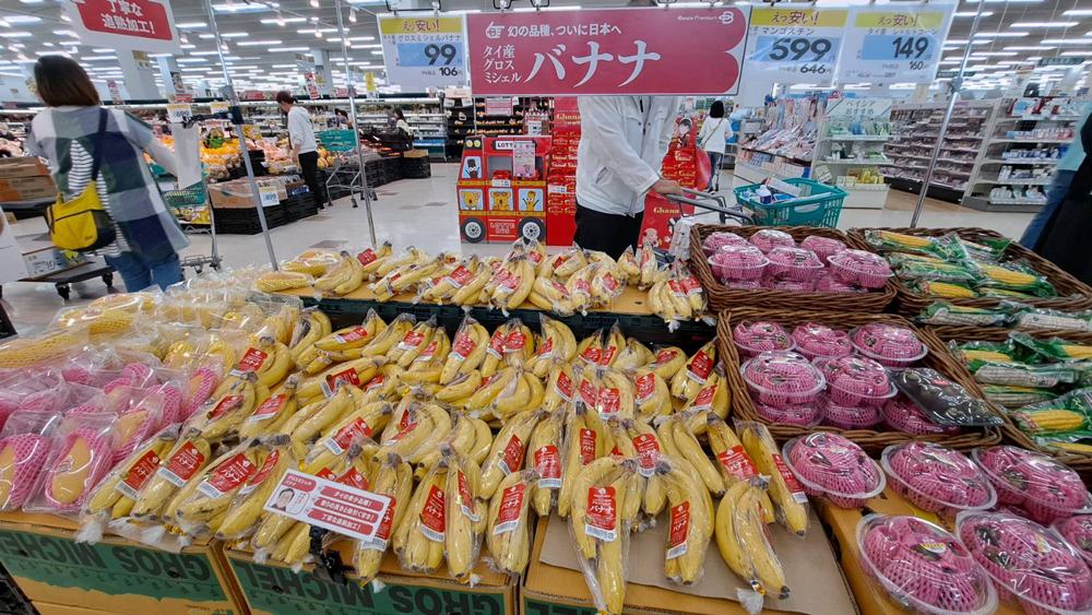 กล้วยหอมทองโคราชล็อตแรก ถึงตลาดญี่ปุ่นแล้ว..รัฐมนตรีพาณิชย์มั่นใจทุเรียนคิวต่อไป