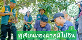 พัฒนาคุณภาพแปลงใหญ่ทุเรียนทองผาภูมิ เสริมองค์ความรู้ผ่านโรงเรียนเกษตรกร ดันผลผลิตส่งออก 500 ตันไปจีน สร้างโอกาสทำเงินให้เกษตรกร