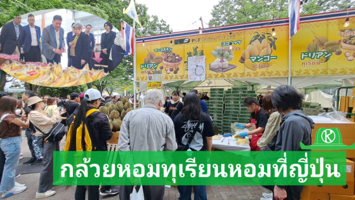 กล้วยหอมทองโคราชล็อตแรก ถึงตลาดญี่ปุ่นแล้ว..รัฐมนตรีพาณิชย์มั่นใจทุเรียนคิวต่อไป