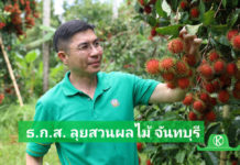 ผู้จัดการ ธ.ก.ส. เยี่ยมชมงานลูกค้า จังหวัดจันทบุรี