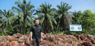 ศพก. เมืองสุราษฎร์ สำเร็จโดดเด่น ได้มาตรฐาน RSPO ใช้ปุ๋ยตามความต้องการของพืช ลดต้นทุน เพิ่มผลผลิต บริหารจัดการพื้นที่ให้เกิดประโยชน์สูงสุด