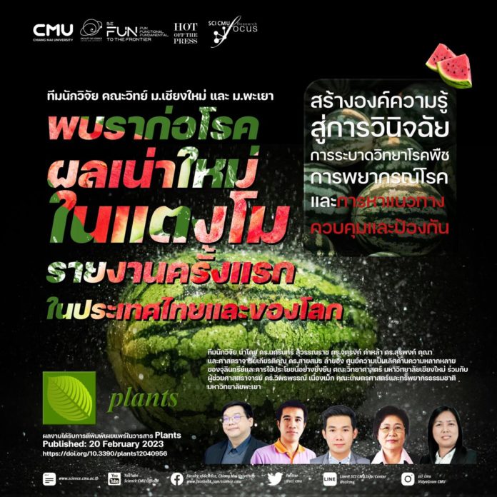แตงโม