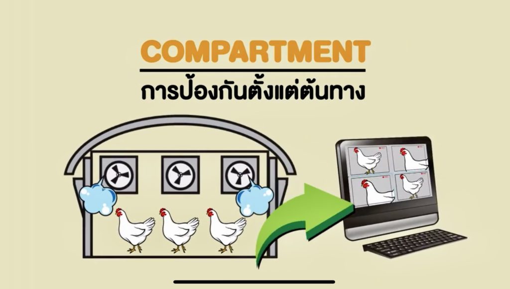 ซีพีเอฟ ผลิตเนื้อไก่ ปลอดภัยระดับสูงสุด