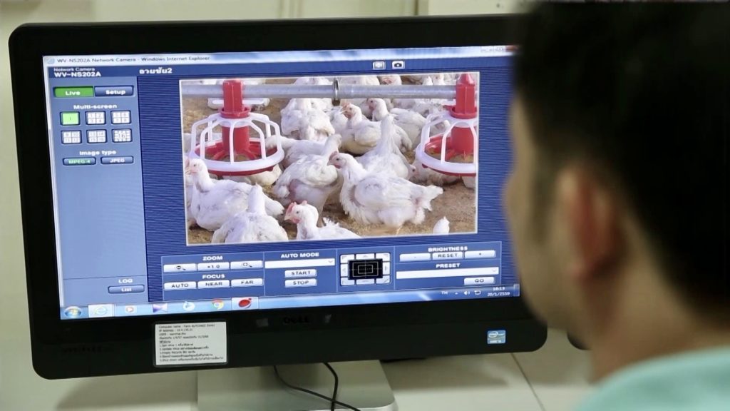 ซีพีเอฟ ผลิตเนื้อไก่ ปลอดภัยระดับสูงสุด