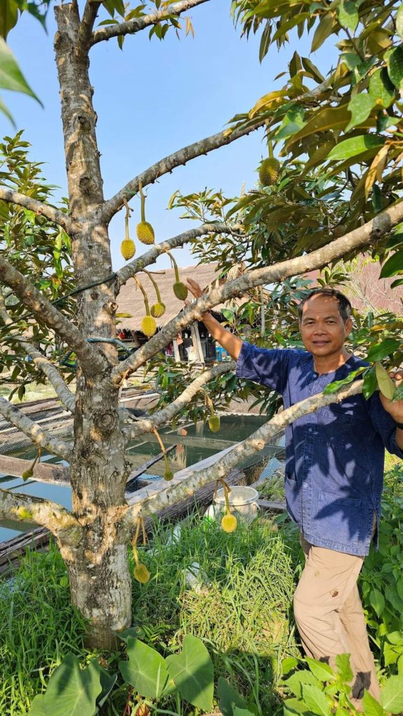 คุณศุภวัฒน์ ติดตามมาดูทุเรียนลอยน้ำเป็นระยะๆ
