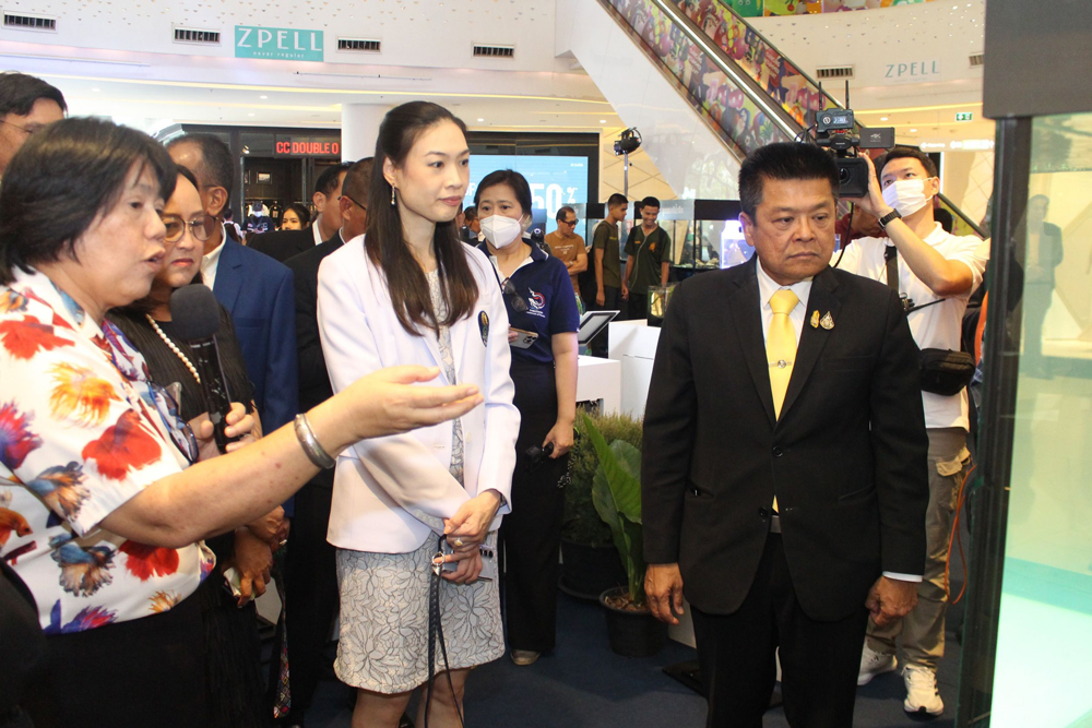 งานวันประมงน้อมเกล้าฯ ครั้งที่ 34: สนามแข่งขันความงาม–ความแข็งแกร่งของแก๊งสัตว์น้ำ