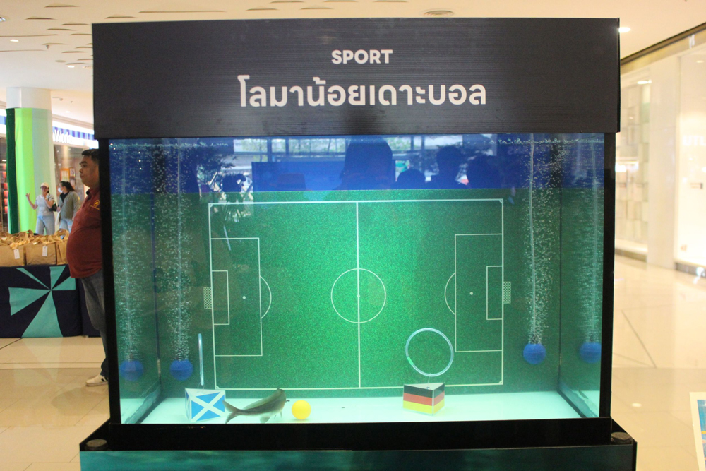 งานวันประมงน้อมเกล้าฯ ครั้งที่ 34: สนามแข่งขันความงาม–ความแข็งแกร่งของแก๊งสัตว์น้ำ