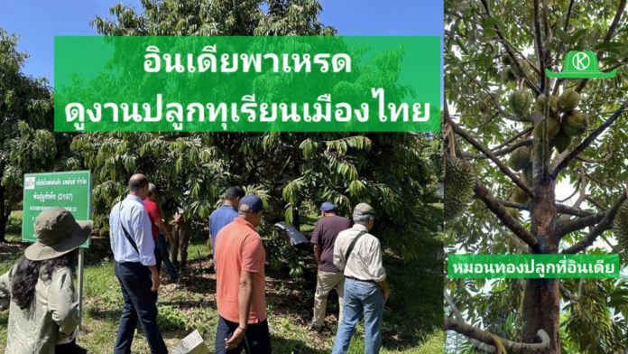 อินเดียดูงานปลูกทุเรียนเมืองไทย บางคนไม่เคยกินทุเรียน บอกอร่อยมาก