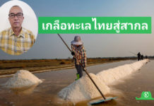 "บุญล้อม สำราญ" Smart Farmer ผู้สืบสาน และพัฒนาเกลือทะเลไทยสู่ตลาดสากล