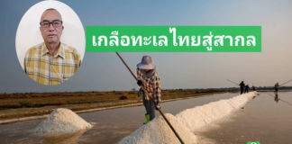 "บุญล้อม สำราญ" Smart Farmer ผู้สืบสาน และพัฒนาเกลือทะเลไทยสู่ตลาดสากล