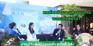งานวันประมงน้อมเกล้าฯ ครั้งที่ 34 ในธีม “Aquatic Arena : สนามแข่งขันประชันความงาม–ท้าประลองความแข็งแกร่งของแก๊งสัตว์น้ำ” ภายใต้คอนเซ็ปต์ Miracle Style with Aquatic Life