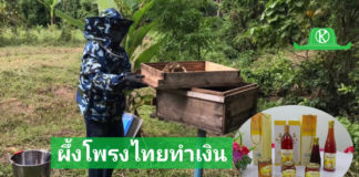 แปลงใหญ่ผึ้งโพรงไทยตำบลแก้วแสน อ.นาบอน จ.นครศรีธรรมราช สร้างมูลค่าผลผลิตจากการเลี้ยงผึ้ง สู่รายได้ปีละ 178,440 บาท