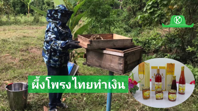 แปลงใหญ่ผึ้งโพรงไทยตำบลแก้วแสน อ.นาบอน จ.นครศรีธรรมราช สร้างมูลค่าผลผลิตจากการเลี้ยงผึ้ง สู่รายได้ปีละ 178,440 บาท