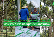 ปุ๋ยเกษตรก้าวไกลสูตรปลาหมักฯ อาหารมื้อแรกของทุเรียนตำบลทุ่งควายกิน จ.ระยอง