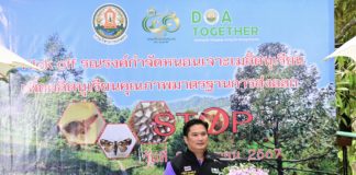 กรมวิชาการเกษตร Kick Off วันถ่ายทอดเทคโนโลยีการผลิตทุเรียนและการป้องกันกำจัดหนอนเจาะเมล็ดทุเรียนกรมวิชาการเกษตร Kick Off วันถ่ายทอดเทคโนโลยีการผลิตทุเรียนและการป้องกันกำจัดหนอนเจาะเมล็ดทุเรียน