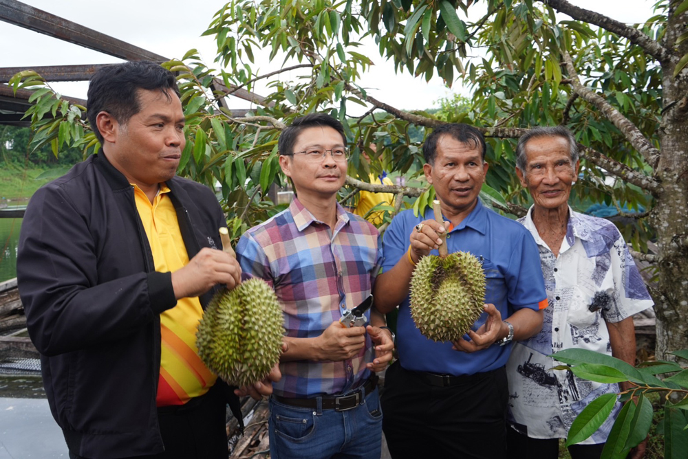 ทุเรียนลูกที่ 1 และทุเรียนลูกที่ 2