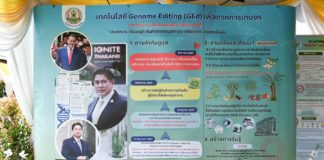 เดินหน้าขับเคลื่อนเทคโนโลยีการปรับแต่งจีโนม เตรียมเสนอ รมว.กษ.ลงนามประกาศ ขอรับรองสิ่งมีชีวิตที่พัฒนาจากเทคโนโลยีปรับแต่งจีโนม เพื่อใช้ประโยชน์ในภาคการเกษตร ภายในเดือน ก.ค.67