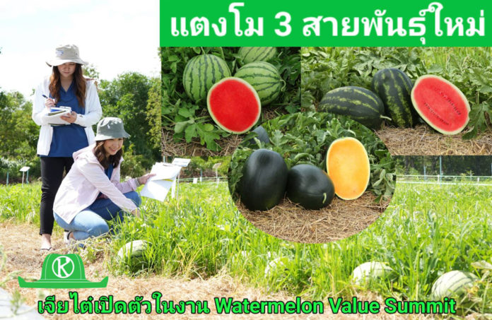 เจียไต๋ตอกย้ำศักยภาพผู้นำตลาดแตงโมในไทย จัดงาน Watermelon Value Summit โชว์ 81 สายพันธุ์แตงโมแห่งอนาคต