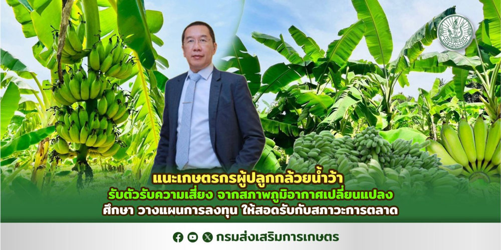 นายพีรพันธ์ คอทอง อธิบดีกรมส่งเสริมการเกษตร