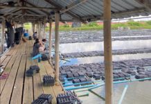 “ส่องหาปูนิ่ม ด้วย AI” นวัตกรรมเพื่อผู้ผลิตปูนิ่ม มหาวิทยาลัยเทคโนโลยีพระจอมเกล้าธนบุรี (มจธ.)