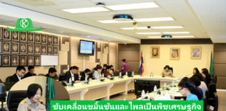 รองปลัดเกษตรฯ เป็นประธานการประชุมขับเคลื่อนขมิ้นชันและไพลเป็นพืชเศรษฐกิจ