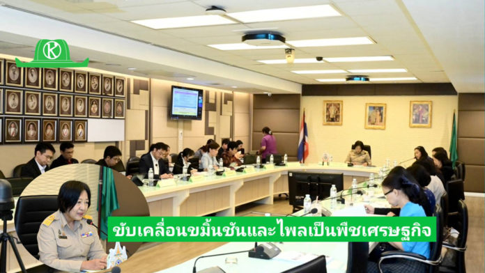 รองปลัดเกษตรฯ เป็นประธานการประชุมขับเคลื่อนขมิ้นชันและไพลเป็นพืชเศรษฐกิจ