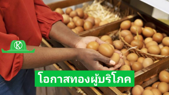ไข่ไก่ราคาลดลงต่อเนื่องสวนทางต้นทุน โอกาสดีผู้บริโภค