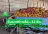 ฉก.พญานาคราช จับมะพร้าวเถื่อน 43 ตัน มูลค่า 2.4 ล้านบาท และอโวคาโด 8 ตัน มูลค่า 8 แสนบาท