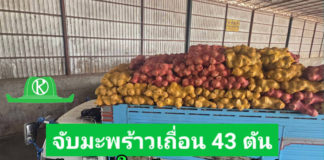 ฉก.พญานาคราช จับมะพร้าวเถื่อน 43 ตัน มูลค่า 2.4 ล้านบาท และอโวคาโด 8 ตัน มูลค่า 8 แสนบาท