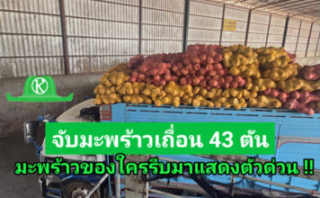 ฉก.พญานาคราช จับมะพร้าวเถื่อน 43 ตัน มูลค่า 2.4 ล้านบาท และอโวคาโด 8 ตัน มูลค่า 8 แสนบาท