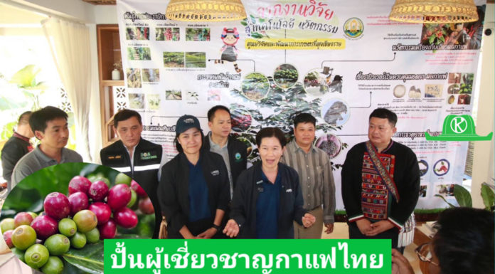 ARDA ผนึกกำลังพันธมิตร เปิดหลักสูตรยกระดับกาแฟอะราบิกาไทย ปั้นผู้เชี่ยวชาญกาแฟไทย สู่ Specialty Coffee มาตรฐานโลก