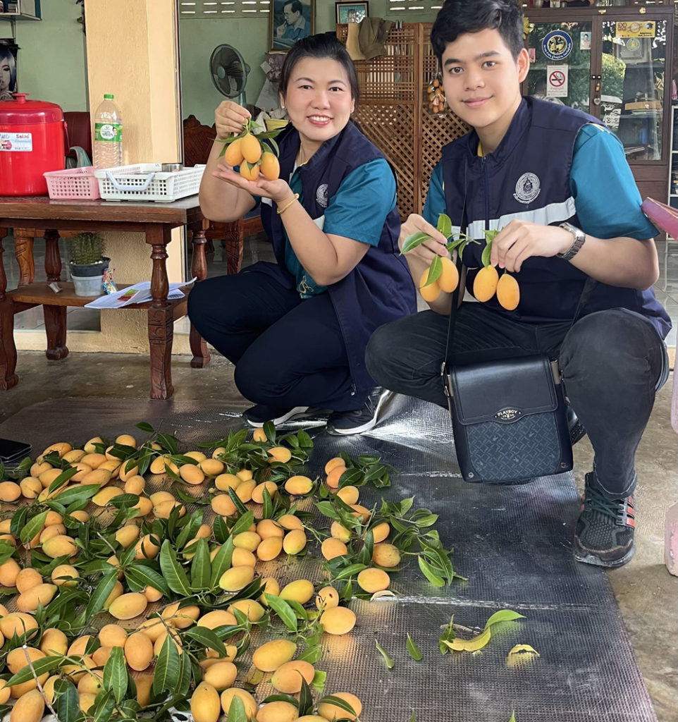 ‘มะยงชิดแม่ย่า’ สุโขทัย จ่อเป็น สินค้า GI ในปี 2568 สศท.2 แนะ เพิ่มโอกาสทางตลาดได้ด้วยการขับเคลื่อนสู่สินค้าเกษตรมูลค่าสูง และ Soft Power ด้านอาหาร