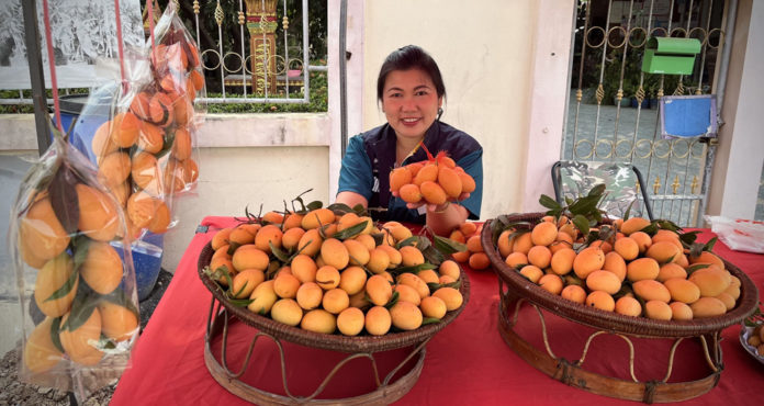 ‘มะยงชิดแม่ย่า’ สุโขทัย จ่อเป็น สินค้า GI ในปี 2568 สศท.2 แนะ เพิ่มโอกาสทางตลาดได้ด้วยการขับเคลื่อนสู่สินค้าเกษตรมูลค่าสูง และ Soft Power ด้านอาหาร