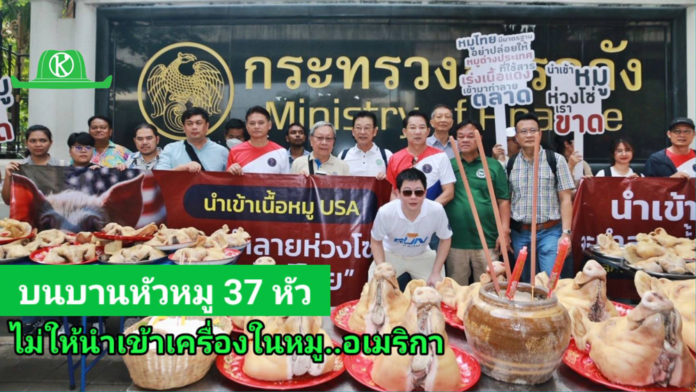 วอนรัฐอย่ายัดเยียดคนไทยกินหมูมะกันปนเปื้อนสารเร่งเนื้อแดง เกษตรกรผู้เลี้ยงหมูยกทัพ ขอ รมว.คลัง - หอการค้าฯ ช่วยป้องอาชีพก่อนล่มสลาย
