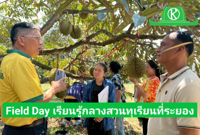 อ.ภพ จัดงาน Field day กลางสวนทุเรียนเฮียน้องที่ระยอง-แลกเปลี่ยนเรียนรู้กันคึกคัก