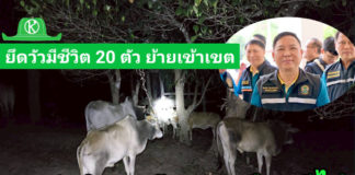อธิบดีกรมปศุสัตว์ ส่ง จนท.สารวัตรกรมปศุสัตว์ ร่วมลาดตระเวนด่านกักกันสัตว์ จ.ตาก ยึดโคมีชีวิต 20 ตัว ย้ายเข้าเขตเฝ้าระวังโรคระบาด โดยไม่ได้รับอนุญาต