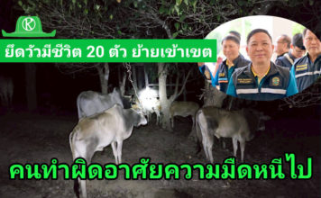 อธิบดีกรมปศุสัตว์ ส่ง จนท.สารวัตรกรมปศุสัตว์ ร่วมลาดตระเวนด่านกักกันสัตว์ จ.ตาก ยึดโคมีชีวิต 20 ตัว ย้ายเข้าเขตเฝ้าระวังโรคระบาด โดยไม่ได้รับอนุญาต