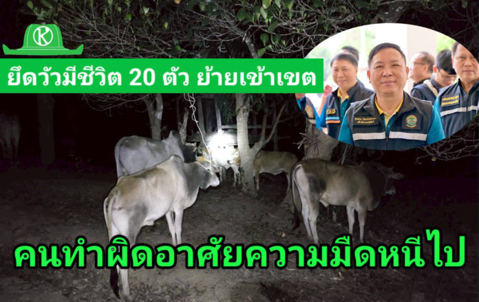 อธิบดีกรมปศุสัตว์ ส่ง จนท.สารวัตรกรมปศุสัตว์ ร่วมลาดตระเวนด่านกักกันสัตว์ จ.ตาก ยึดโคมีชีวิต 20 ตัว ย้ายเข้าเขตเฝ้าระวังโรคระบาด โดยไม่ได้รับอนุญาต