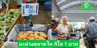 สำรวจราคามะม่วงตลาดไท กก.ละ1บาท ใครจะซื้อไปแจกหรือนำไปแปรรูปเชิญได้