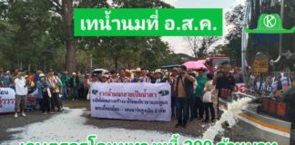 ม็อบเกษตรกรผู้เลี้ยงโคนมสุดทนต้องเทน้ำนมทิ้งกว่า3ตัน เรียกร้องค่าน้ำนมดิบ300ล้านบาท ที่จำหน่ายให้กับอ.ส.ค. แต่ยังไม่ได้เงิน