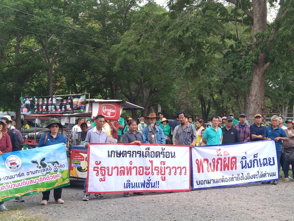 ม็อบเกษตรกรผู้เลี้ยงโคนมสุดทนต้องเทน้ำนมทิ้งกว่า3ตัน เรียกร้องค่าน้ำนมดิบ300ล้านบาท ที่จำหน่ายให้กับอ.ส.ค. แต่ยังไม่ได้เงิน