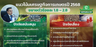 จีดีพีเกษตร ไตรมาส 1 ทิศทางสดใส เติบโตร้อยละ 3 ทุกสาขาขยายตัว คาด ทั้งปี ขยายตัวร้อยละ 1.8 - 2.8