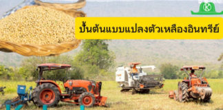 สยามคูโบต้าปั้นต้นแบบแปลงถั่วเหลืองอินทรีย์ ตั้งเป้าสู่ศูนย์เรียนรู้การผลิตเมล็ดพันธุ์ด้วยเครื่องจักรครบวงจร