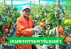 ‘ไบเออร์’ พลิกมิตินำวิถีเกษตรกรรมคาร์บอนต่ำ ยกระดับแปลงปลูก ลดต้นทุนการผลิต