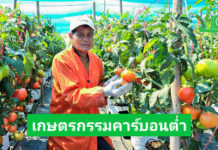 ‘ไบเออร์’ พลิกมิตินำวิถีเกษตรกรรมคาร์บอนต่ำ ยกระดับแปลงปลูก ลดต้นทุนการผลิต
